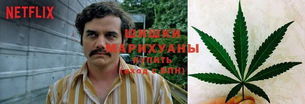 гидропоника Мегион