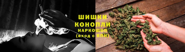 соль ск Алзамай