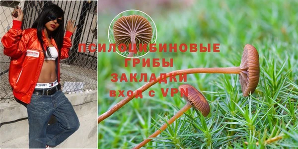 mix Алексин