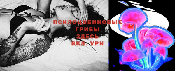 соль ск Алзамай
