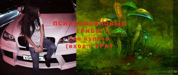 соль ск Алзамай
